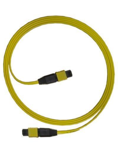 O cabo de fibra ótica do núcleo da manutenção programada MTP 24 ventila para fora o tipo para CATV/redes informáticas