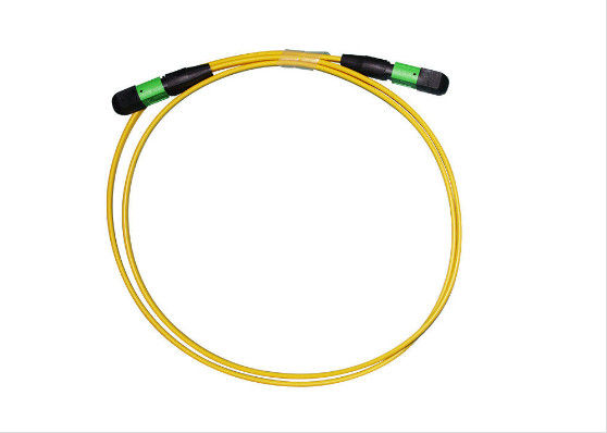 Estojo compacto SMF 2 do cabo de remendo do homem/UPC MPO - 24 núcleos IS0/ROHS alistaram bens fornecedor